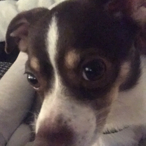 Meet your Posher, Suzanne - Picture 1 of 1